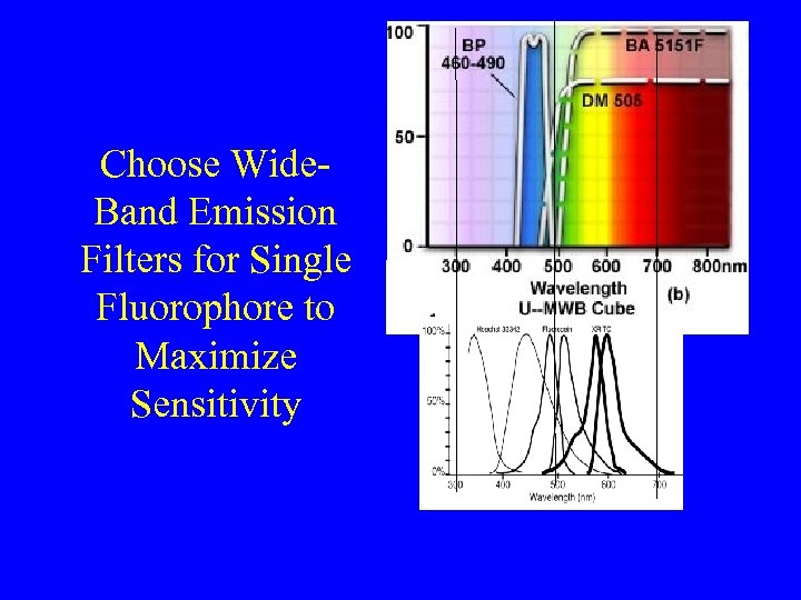 Choose Wide. Band Emission Filters for Single Fluorophore to Maximize Sensitivity 