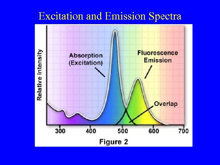 Excitation and Emission Spectra 