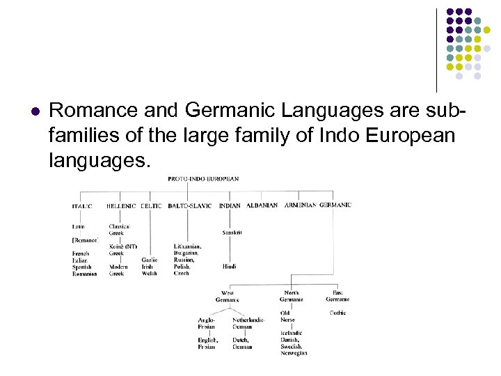 l Romance and Germanic Languages are subfamilies of the large family of Indo European