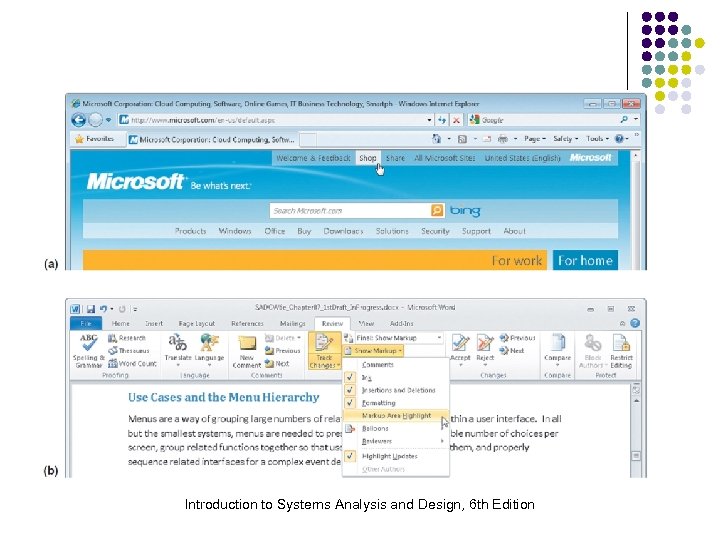 Introduction to Systems Analysis and Design, 6 th Edition 