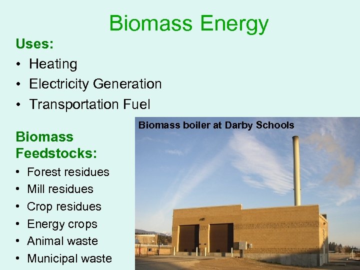 Biomass Energy Uses: • Heating • Electricity Generation • Transportation Fuel Biomass Feedstocks: •