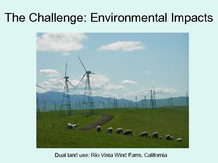 The Challenge: Environmental Impacts Dual land use: Rio Vista Wind Farm, California 