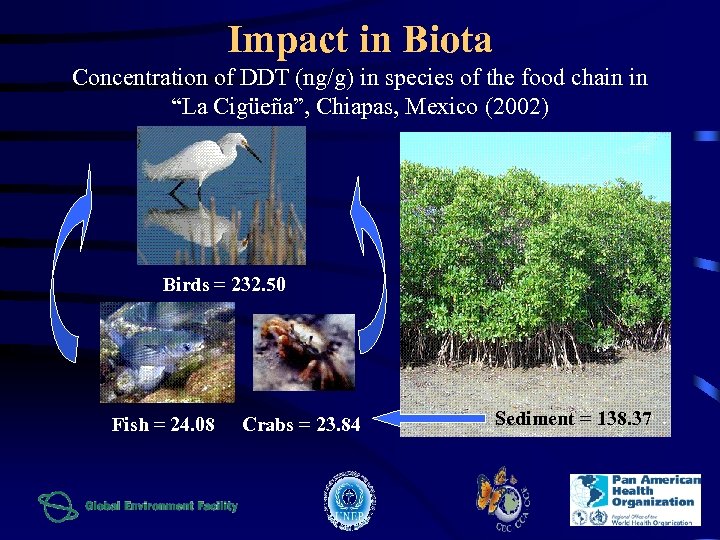 Impact in Biota Concentration of DDT (ng/g) in species of the food chain in