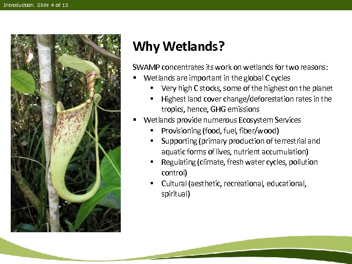 Introduction. Slide 4 of 13 Why Wetlands? SWAMP concentrates its work on wetlands for