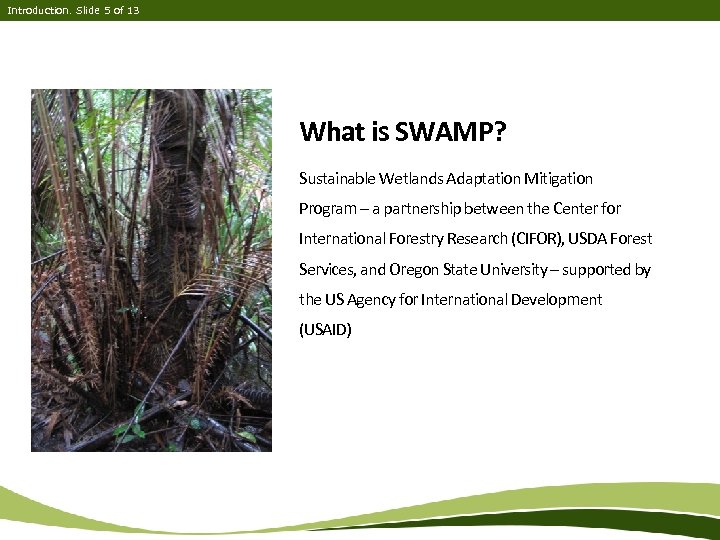 Introduction. Slide 5 of 13 What is SWAMP? Sustainable Wetlands Adaptation Mitigation Program –