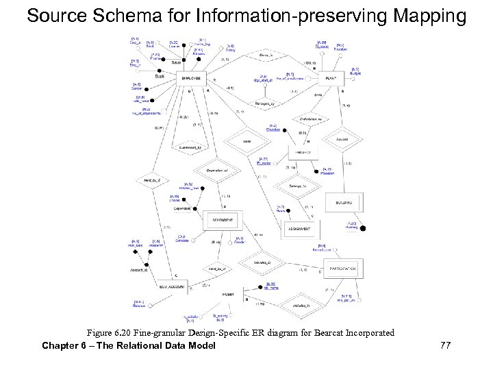 Source Schema for Information-preserving Mapping Figure 6. 20 Fine-granular Design-Specific ER diagram for Bearcat