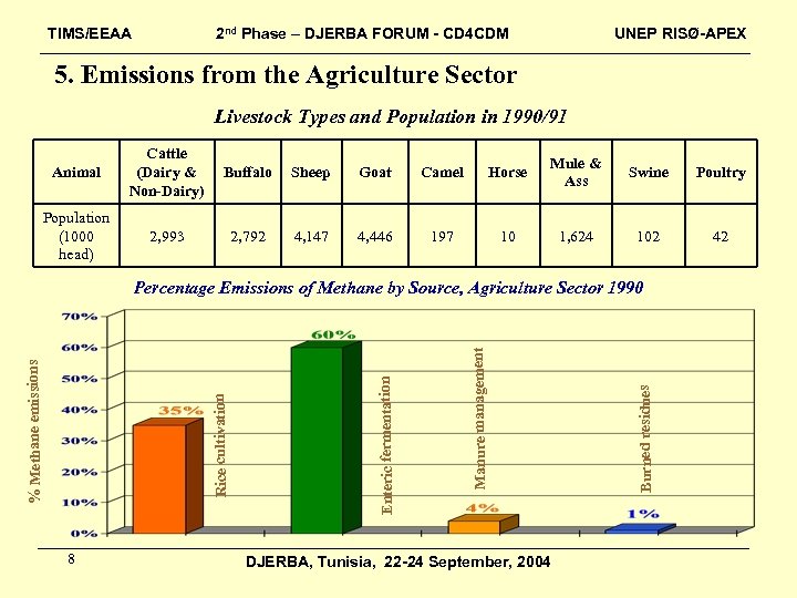 TIMS/EEAA 2 nd Phase – DJERBA FORUM - CD 4 CDM UNEP RISØ-APEX 5.