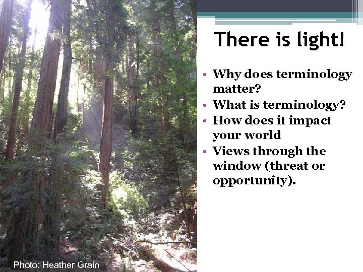 There is light! • Why does terminology matter? • What is terminology? • How