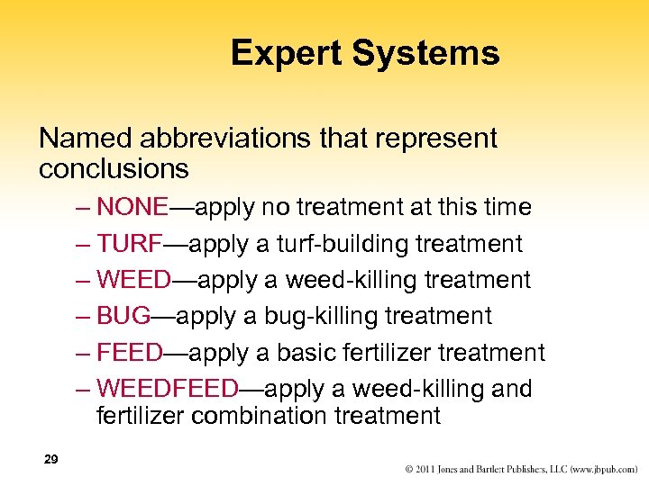 Expert Systems Named abbreviations that represent conclusions – NONE—apply no treatment at this time