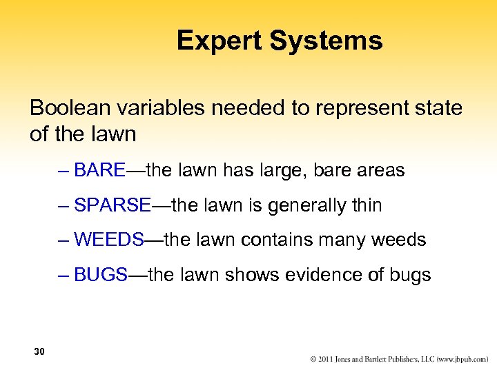 Expert Systems Boolean variables needed to represent state of the lawn – BARE—the lawn