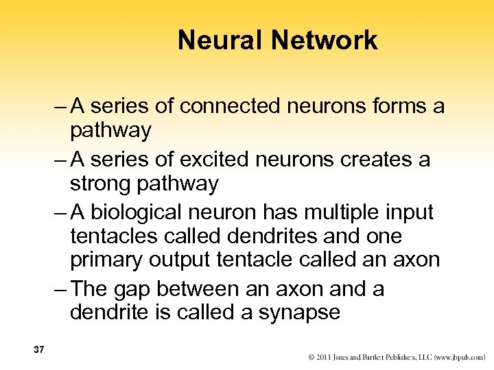 Neural Network – A series of connected neurons forms a pathway – A series
