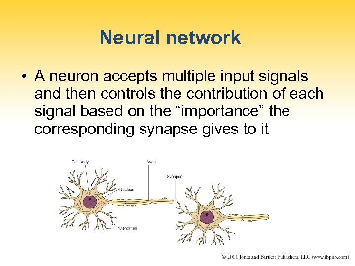 Neural network • A neuron accepts multiple input signals and then controls the contribution