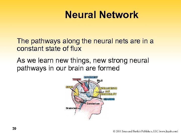 Neural Network The pathways along the neural nets are in a constant state of