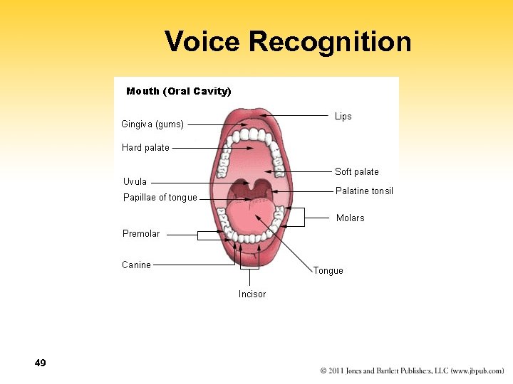Voice Recognition 49 