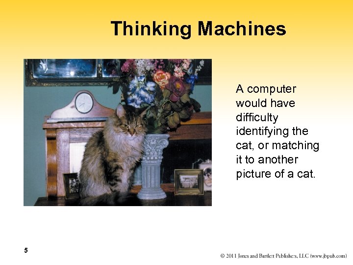 Thinking Machines A computer would have difficulty identifying the cat, or matching it to