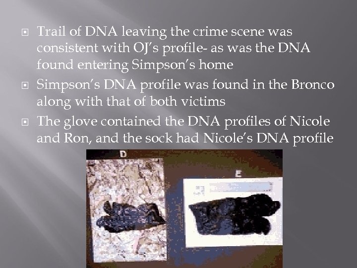  Trail of DNA leaving the crime scene was consistent with OJ’s profile- as