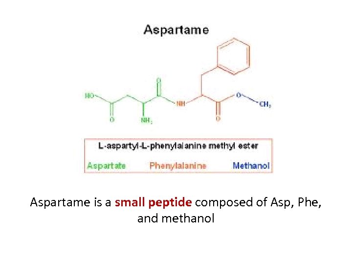 Aspartame is a small peptide composed of Asp, Phe, and methanol 