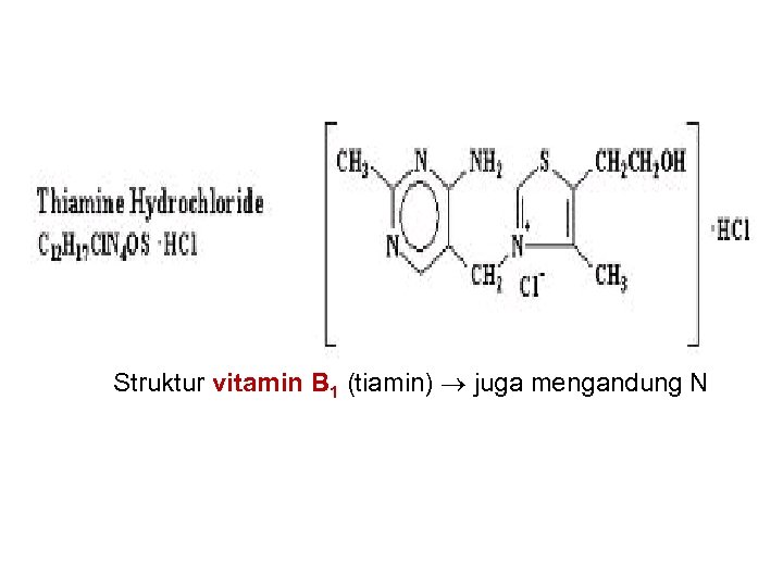 Struktur vitamin B 1 (tiamin) juga mengandung N 
