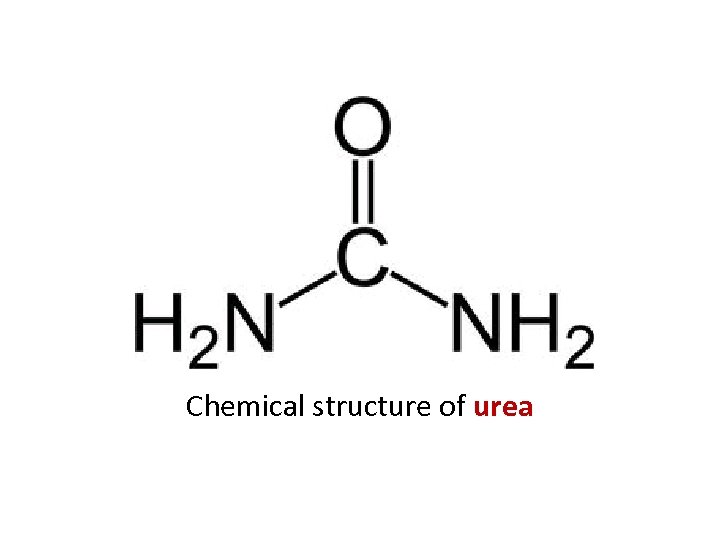 Chemical structure of urea 