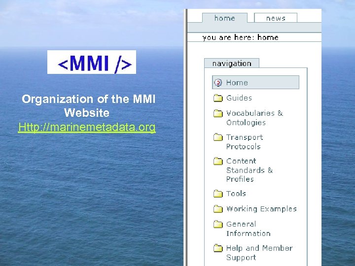 Organization of the MMI Website Http: //marinemetadata. org 