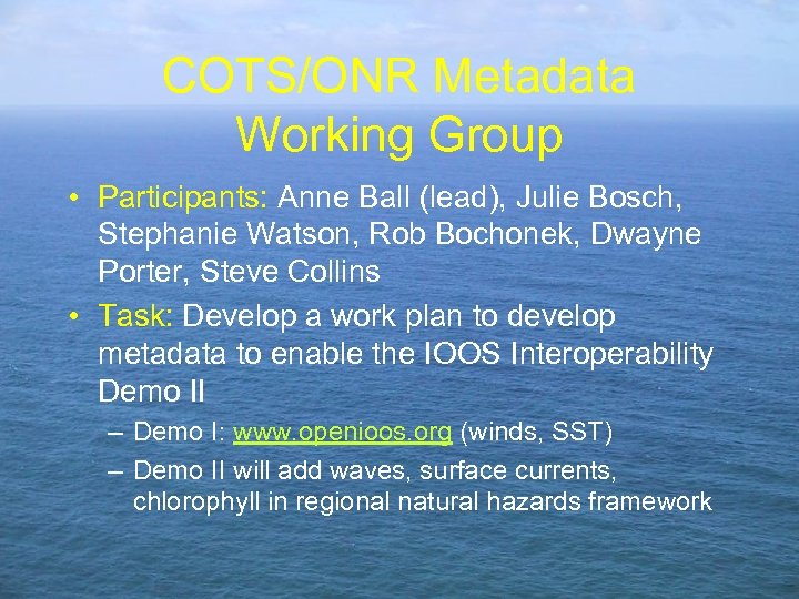 COTS/ONR Metadata Working Group • Participants: Anne Ball (lead), Julie Bosch, Stephanie Watson, Rob