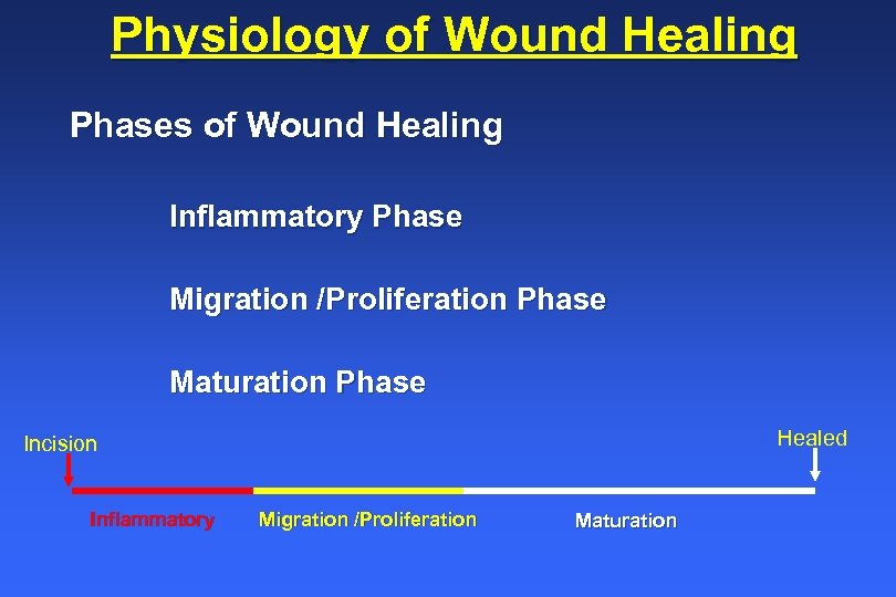 Physiology of Wound Healing Phases of Wound Healing Inflammatory Phase Migration /Proliferation Phase Maturation