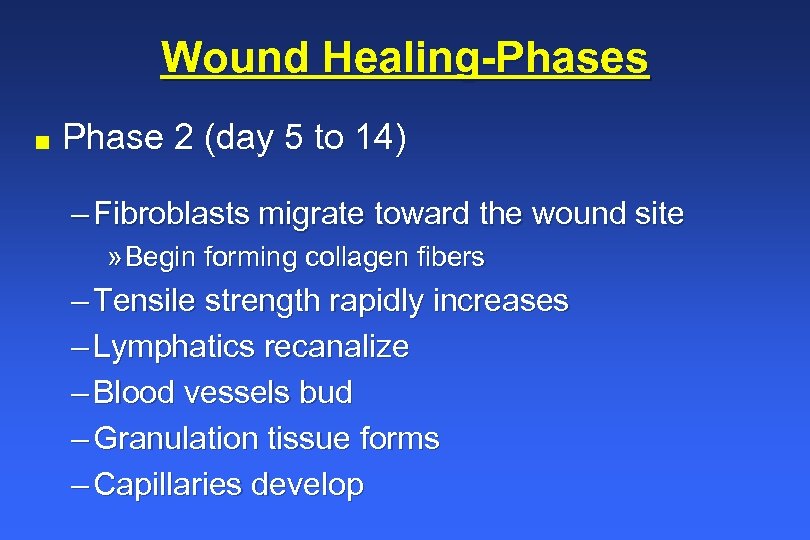 Wound Healing-Phases n Phase 2 (day 5 to 14) – Fibroblasts migrate toward the