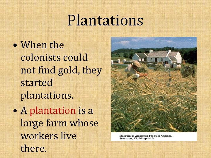 Plantations • When the colonists could not find gold, they started plantations. • A