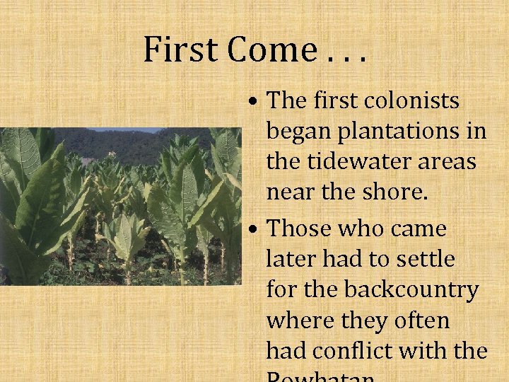 First Come. . . • The first colonists began plantations in the tidewater areas