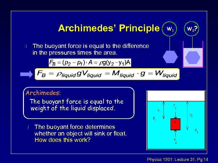 Archimedes’ Principle W 1 W 2 ? The buoyant force is equal to the