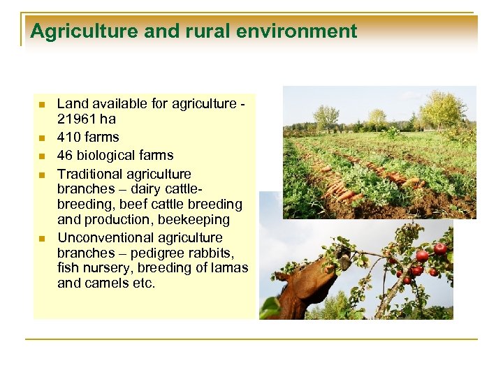 Agriculture and rural environment n n n Land available for agriculture 21961 ha 410