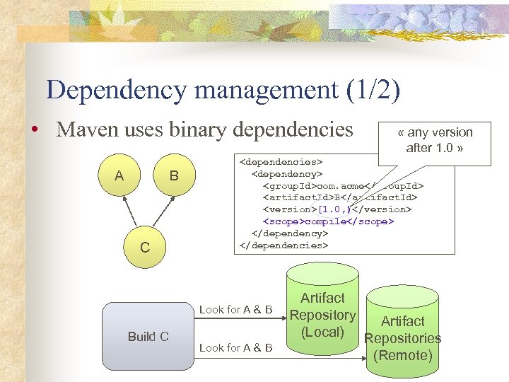 Dependency management (1/2) • Maven uses binary dependencies A B C <dependencies> <dependency> <group.