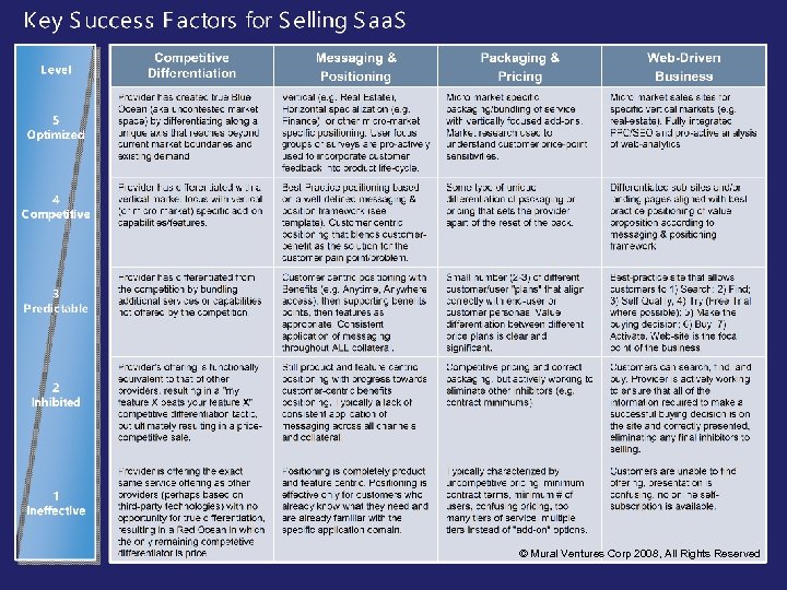 © Mural Ventures Corp 2008, All Rights Reserved 