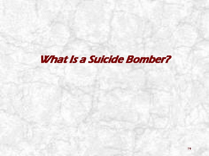 What Is a Suicide Bomber? 19 