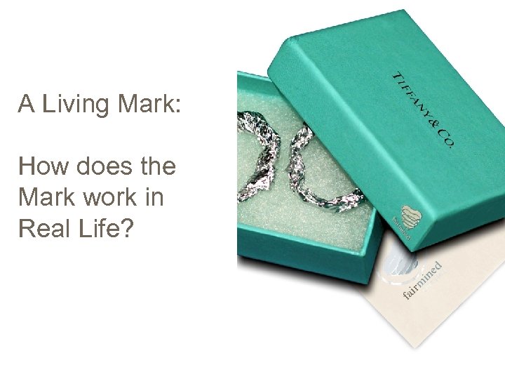 A Living Mark: How does the Mark work in Real Life? 