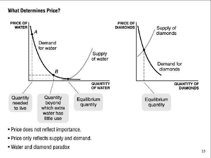 What Determines Price? • Price does not reflect importance. • Price only reflects supply