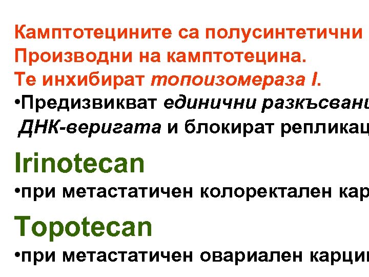 Камптотецините са полусинтетични Производни на камптотецина. Те инхибират топоизомераза I. • Предизвикват единични разкъсвани