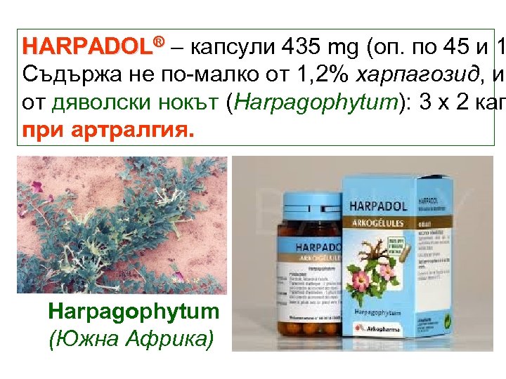 HARPADOL® – капсули 435 mg (оп. по 45 и 1 Съдържа не по-малко от