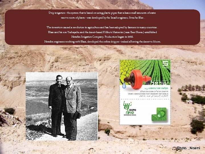 Drip irrigation - the system that is based on using plastic pipes that release