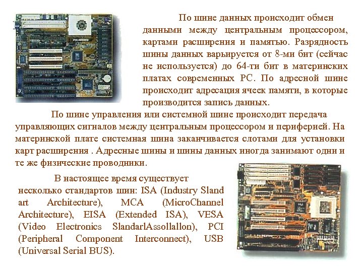 По шине данных происходит обмен данными между центральным процессором, картами расширения и памятью. Разрядность