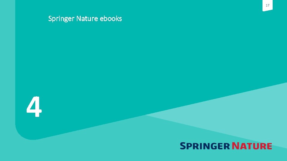 17 Springer Nature ebooks 4 