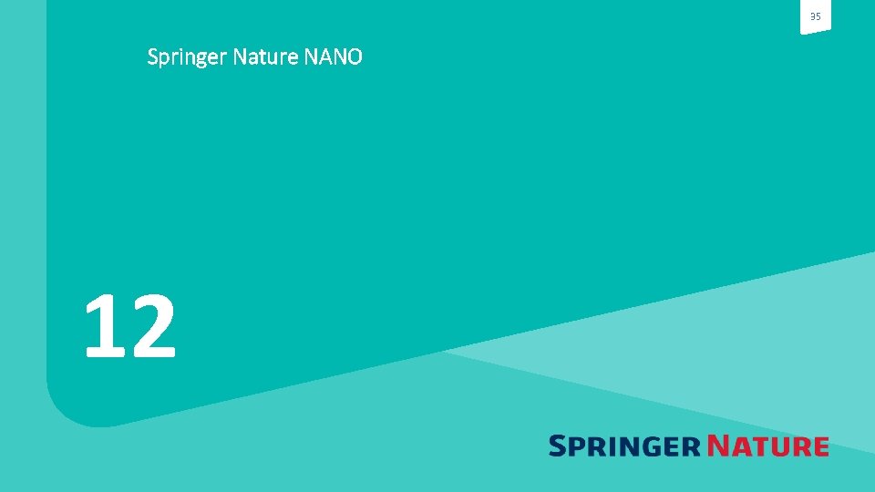 35 Springer Nature NANO 12 