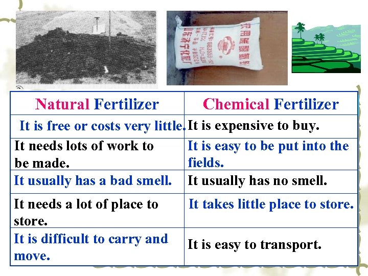 Chemical Fertilizer In Naturalpicture: the first Fertilizer A pile of animal shit (manure) It