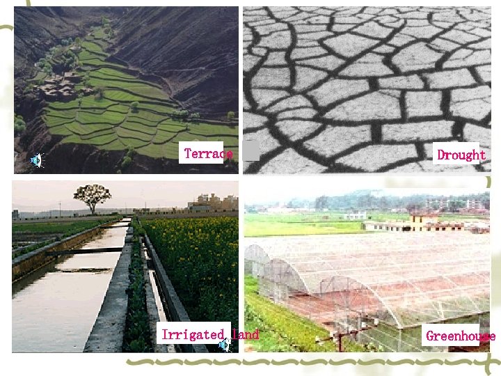Terrace Drought Irrigated land Greenhouse 