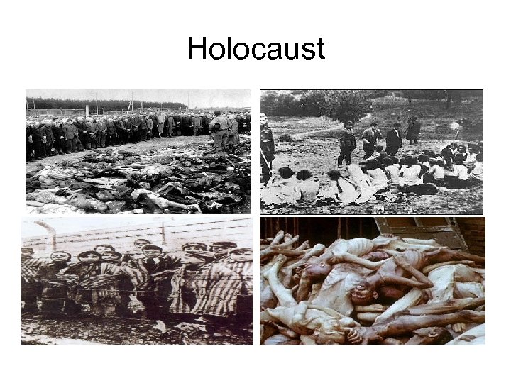 Holocaust 