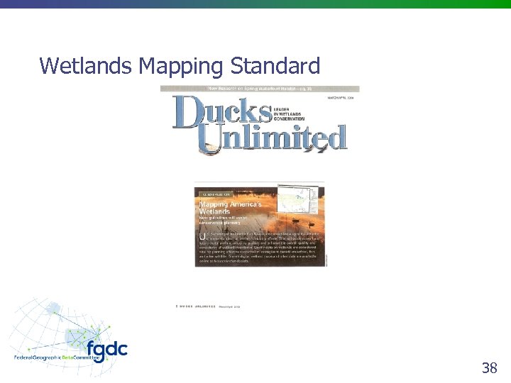 Wetlands Mapping Standard 38 