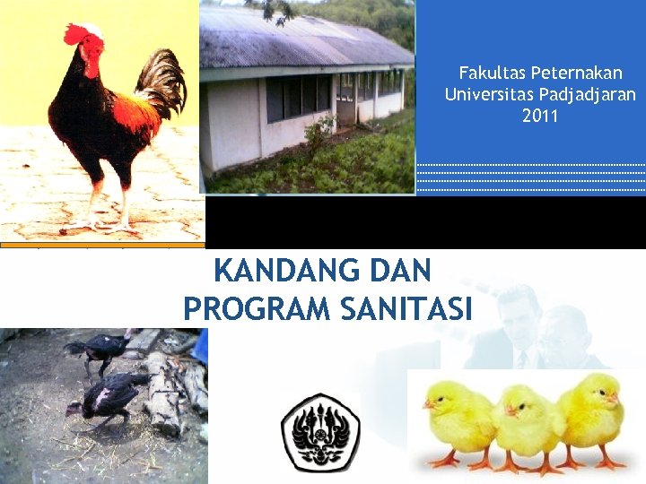 Fakultas Peternakan Universitas Padjadjaran 2011 KANDANG DAN PROGRAM SANITASI Company LOGO 