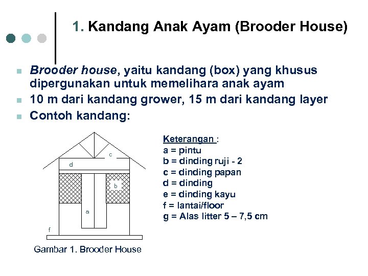 1. Kandang Anak Ayam (Brooder House) n n n Brooder house, yaitu kandang (box)