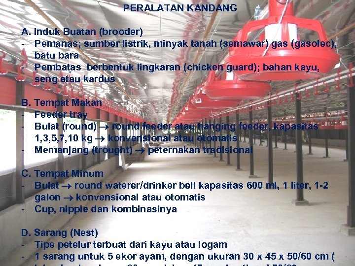 PERALATAN KANDANG A. Induk Buatan (brooder) - Pemanas; sumber listrik, minyak tanah (semawar) gas