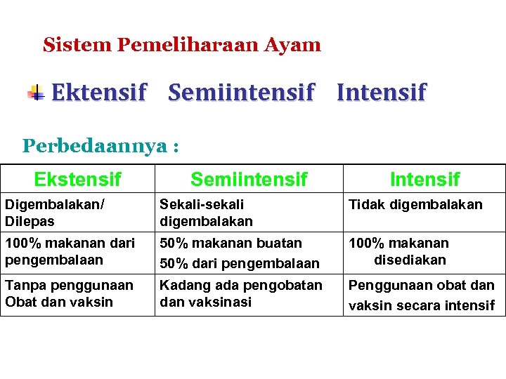 Sistem Pemeliharaan Ayam Ektensif Semiintensif Intensif Perbedaannya : Ekstensif Semiintensif Intensif Digembalakan/ Dilepas Sekali-sekali